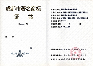 Chengdu Famous Trademark Certificate
